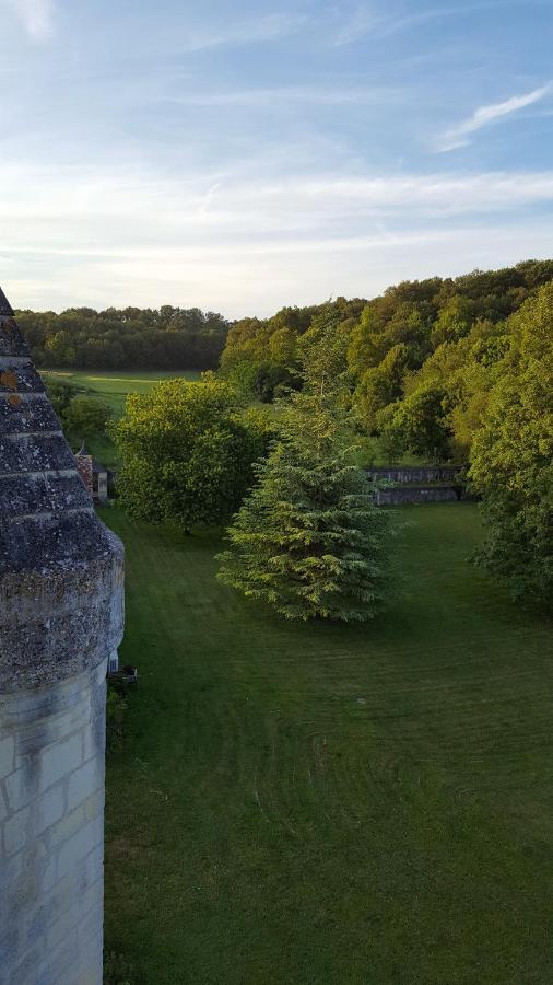 Chateau De Re Le Petit-Pressigny Exteriér fotografie